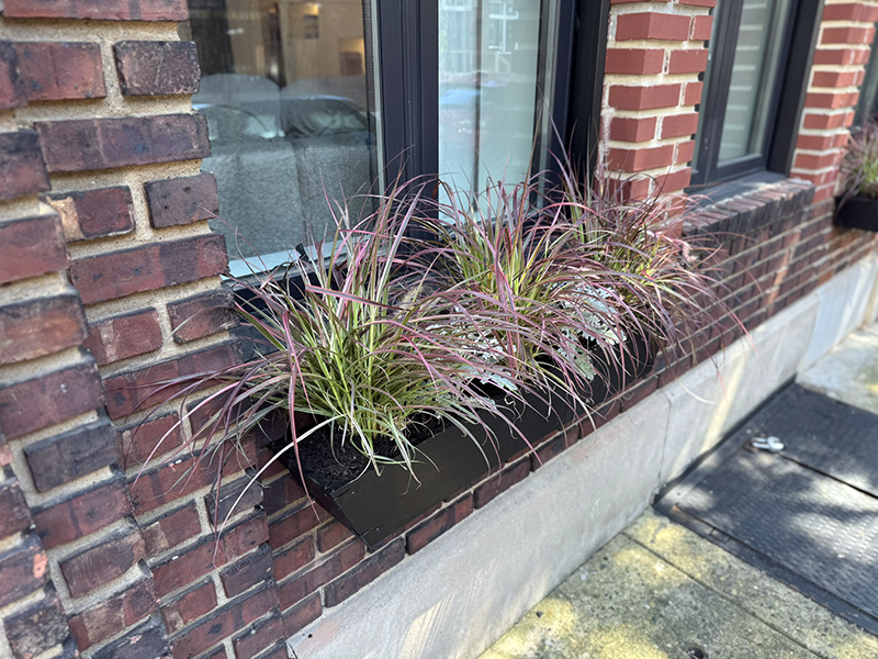 Window box installation in Fitler Square - give it the groove!