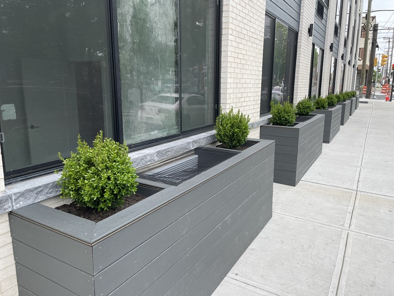 boxwoods on susquehanna ave