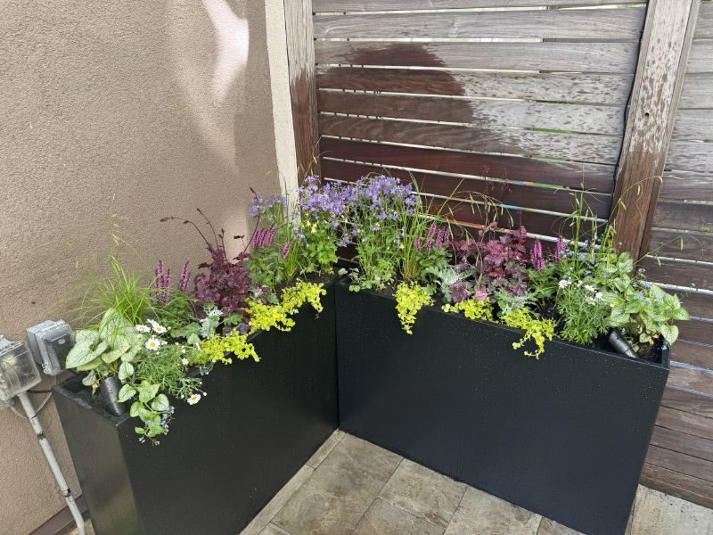 Northern Liberties cozy and comfy planters.
