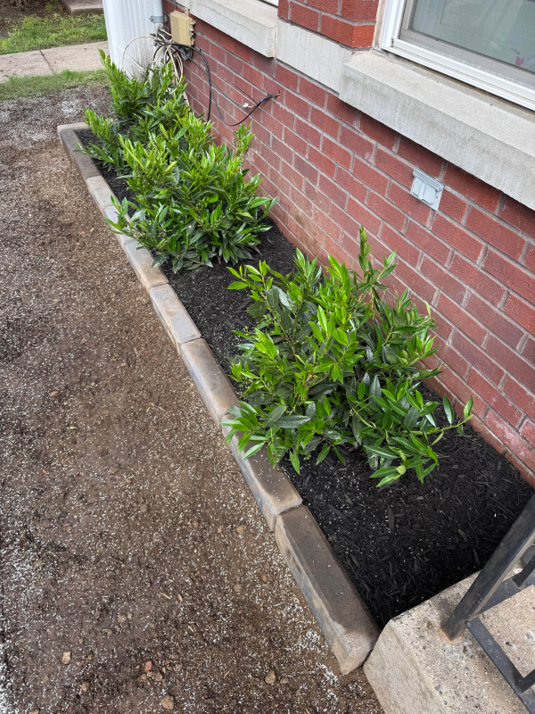 Sleek, modern Techo Bloc Raffinato edgers in onyx black.